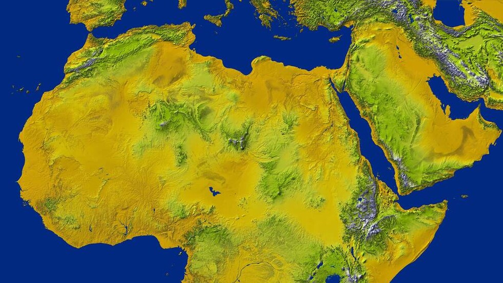 محمود محي الدين