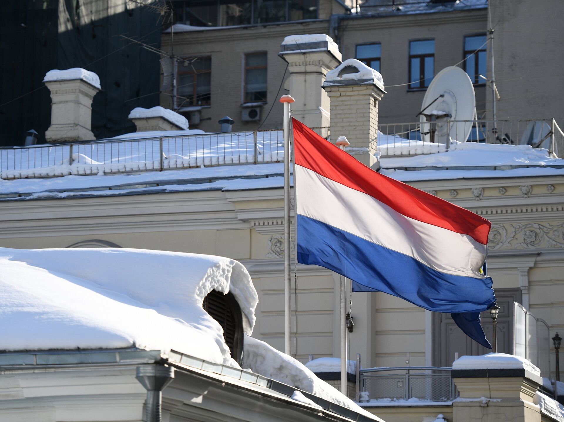 أسعار البيض