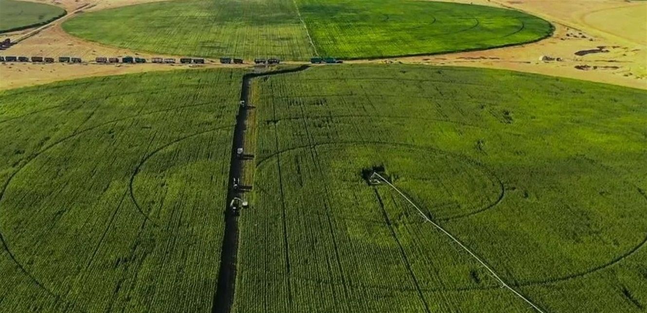 عبد المنعم خليل