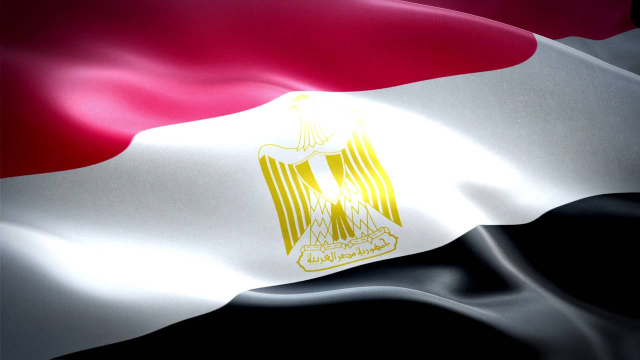 واردات مصر