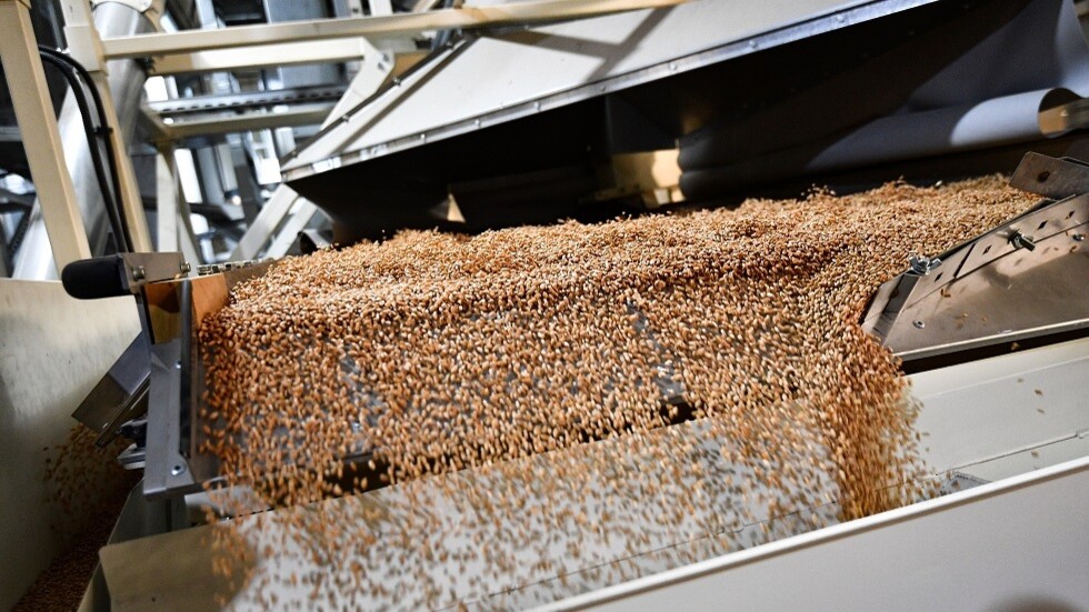 مقابل حبوبها