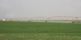 السعودية-بعقود