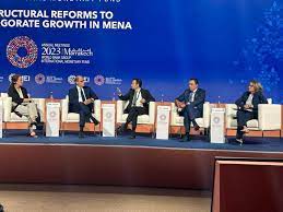 الإمارات-وجورجيا