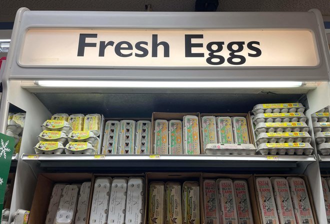 الحكومة-الروسية