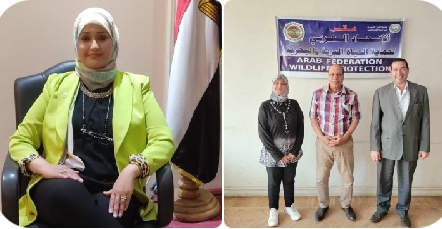 وكالة أنباء و أخبار اقتصادية | سعر صرف العملات | البورصة و أسواق المال