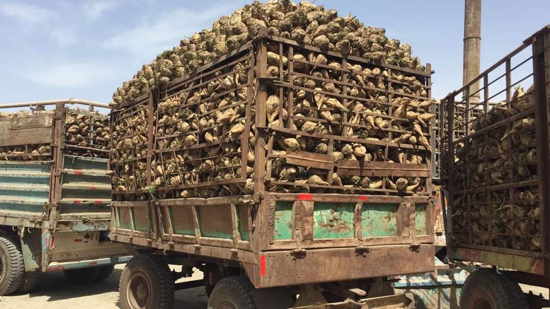 وكالة أنباء و أخبار اقتصادية | سعر صرف العملات | البورصة و أسواق المال