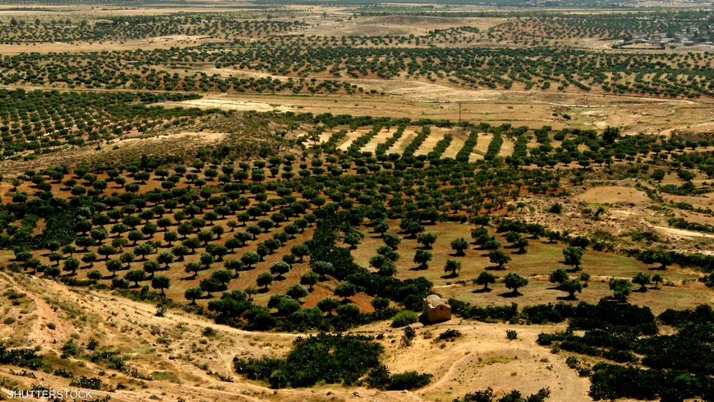 أزمة-الجفاف