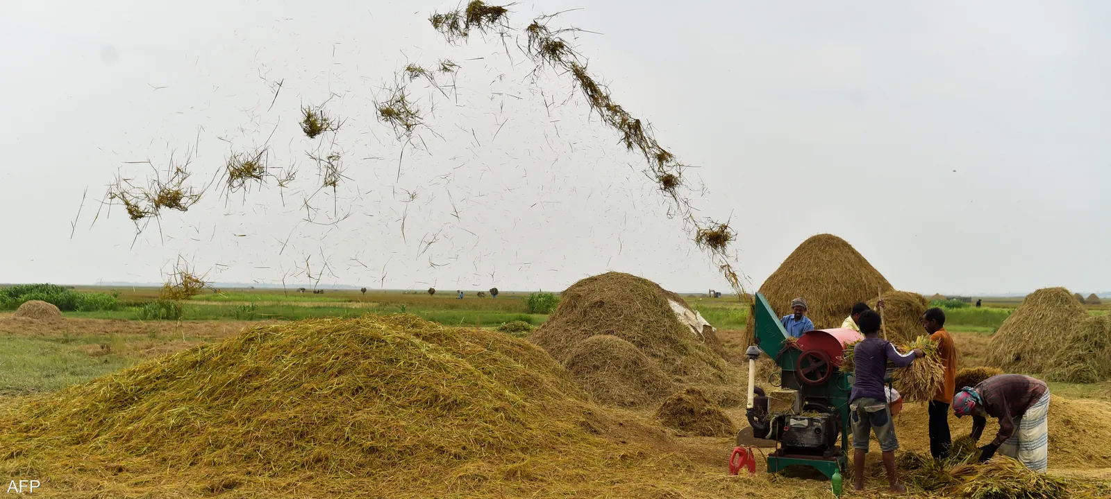 بنغلاديش-تواجه