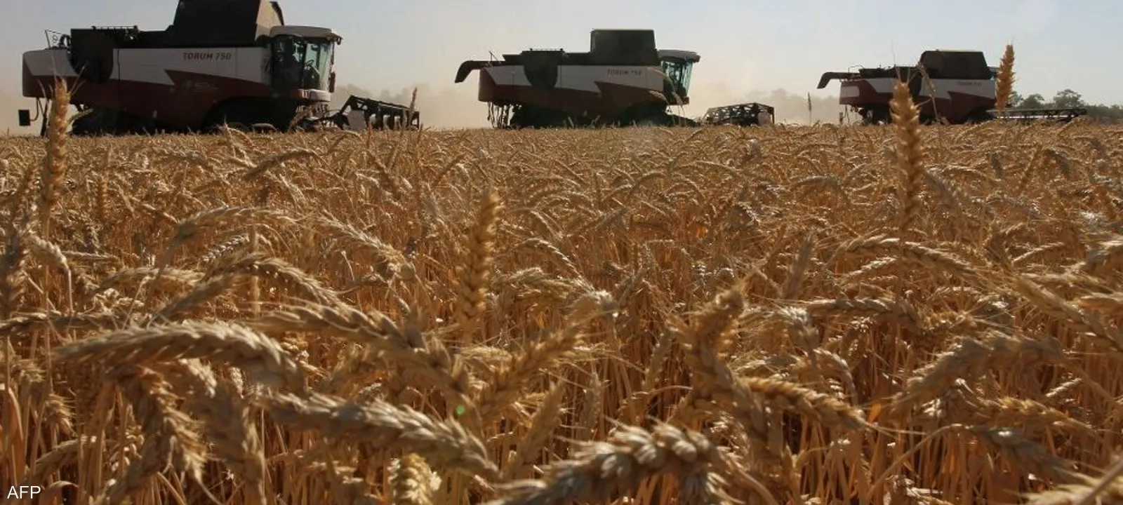 الحبوب-الأوكرانية