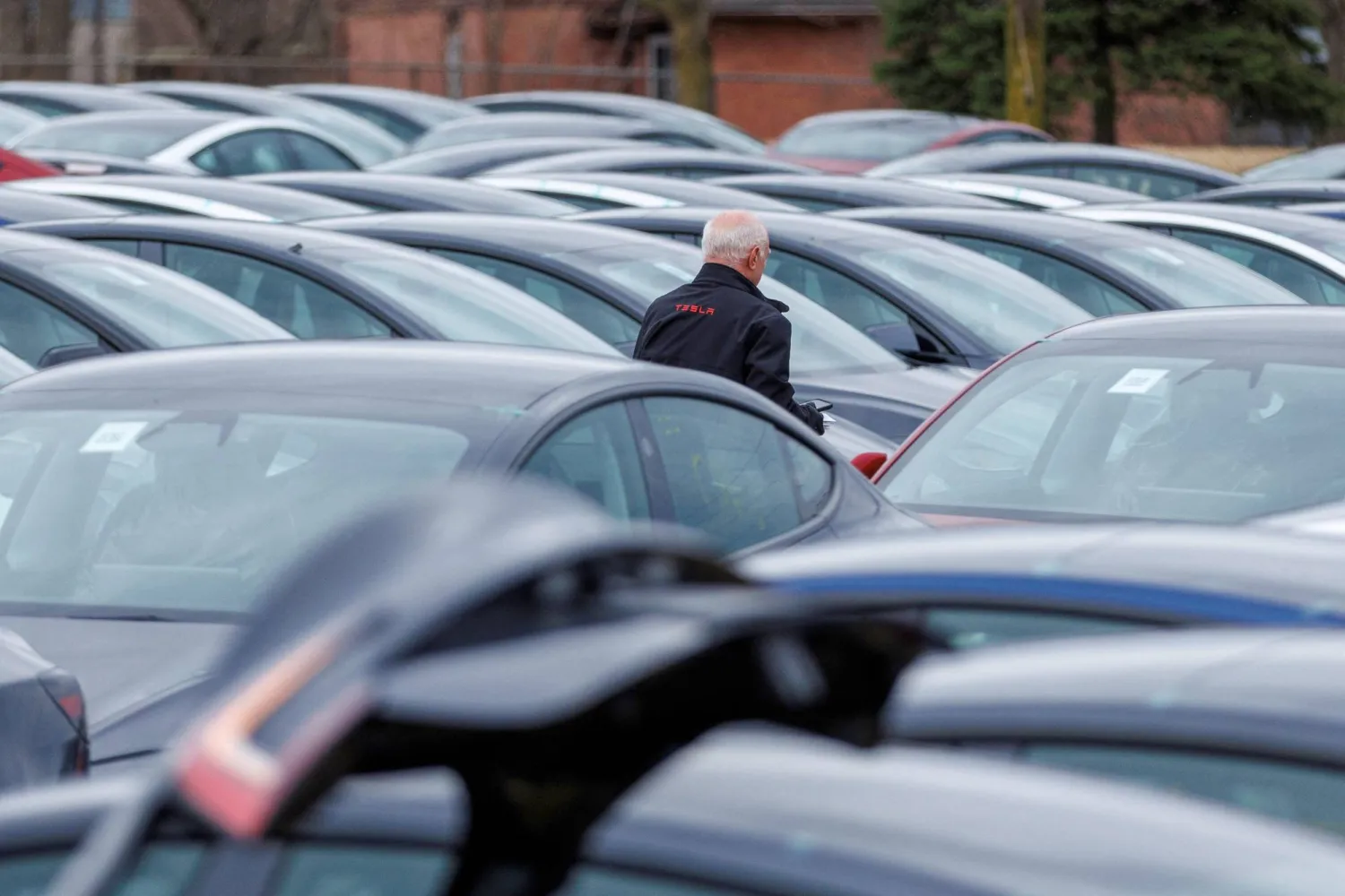 الولايات-المتحدة