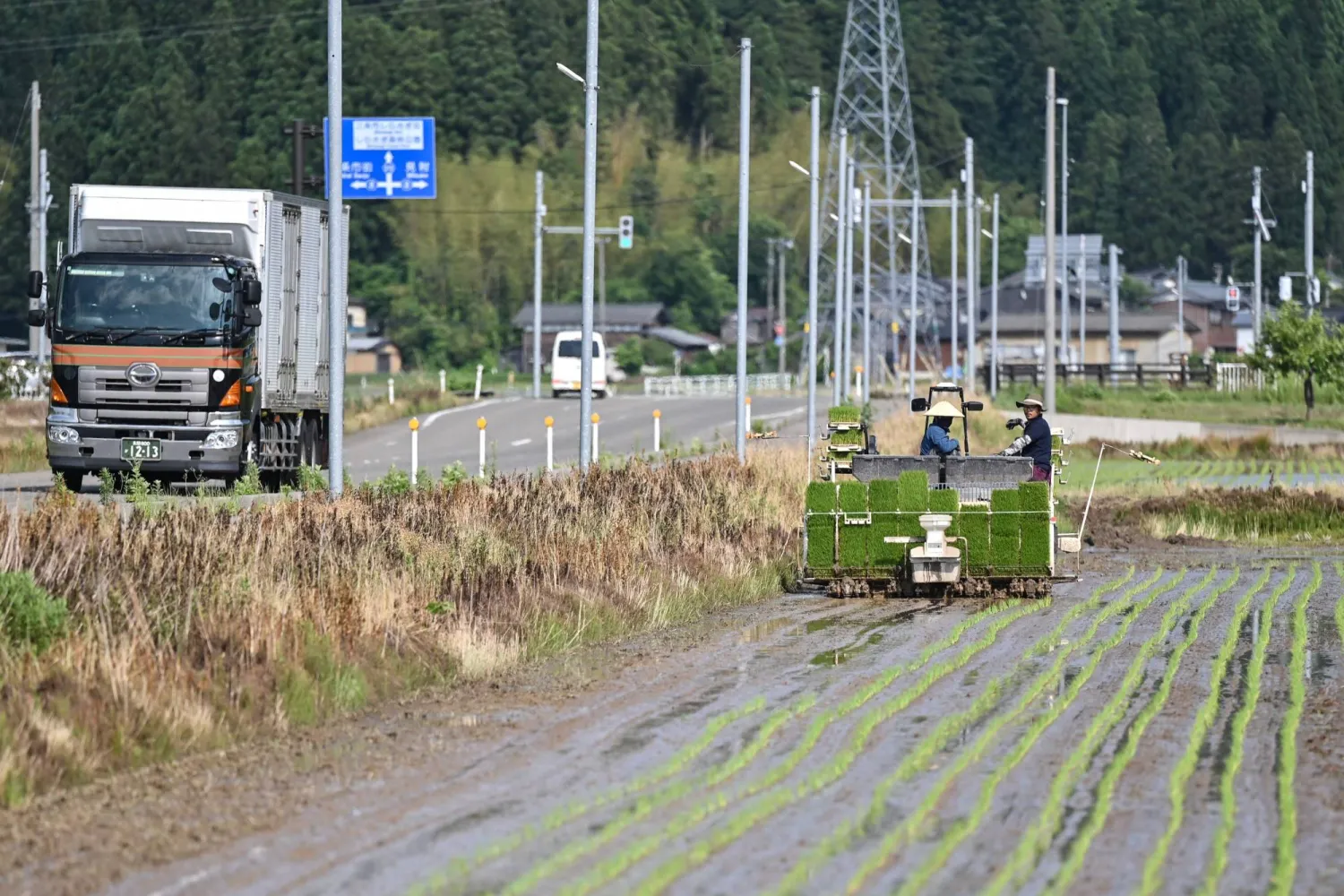 اليابان-تبحث