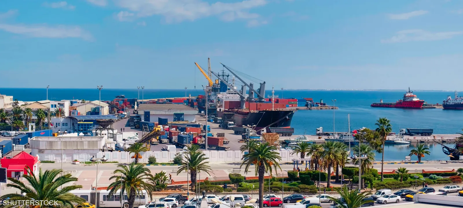 التجاري-يرتفع