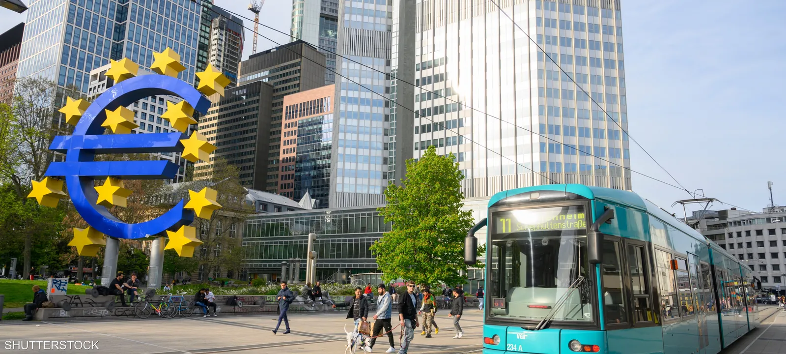 عضو-بالمركزي